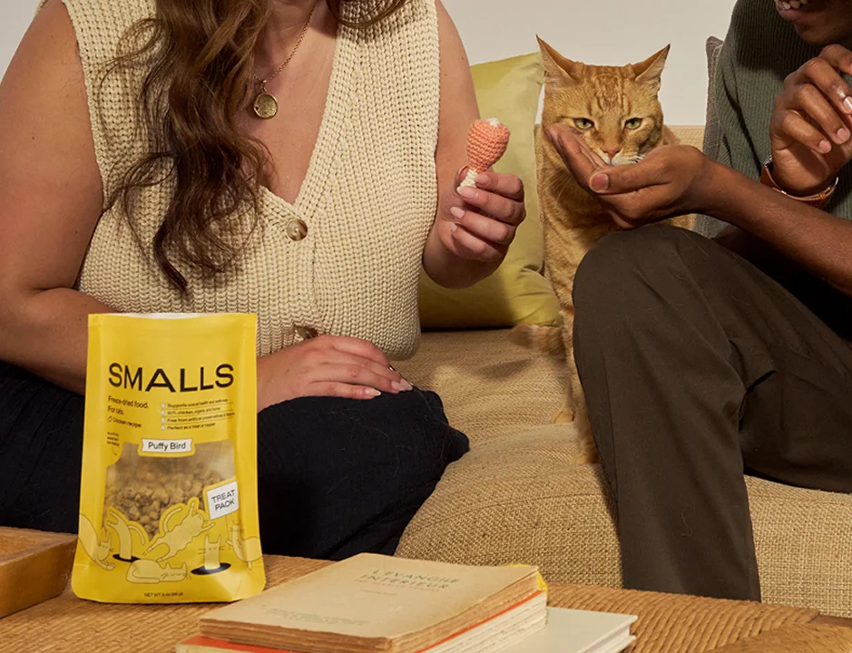 Two people on a sofa holding treats for an orange cat next to a yellow Smalls bag
