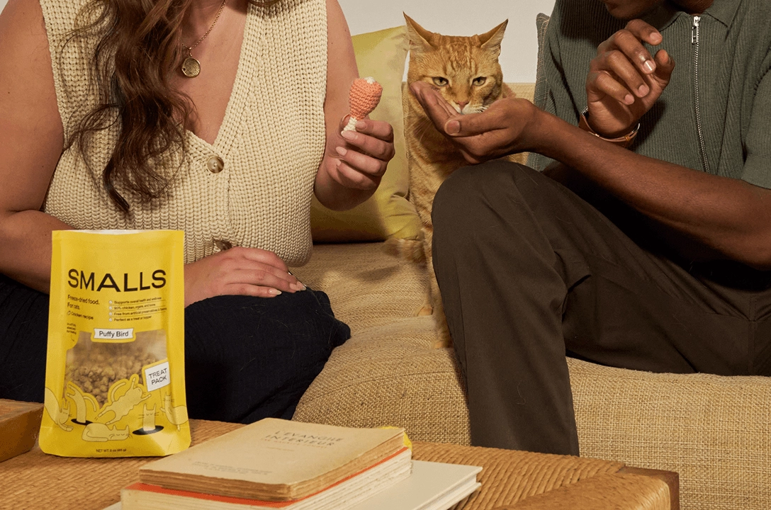 Two people on a sofa feeding an orange cat, with a yellow Smalls bag in front