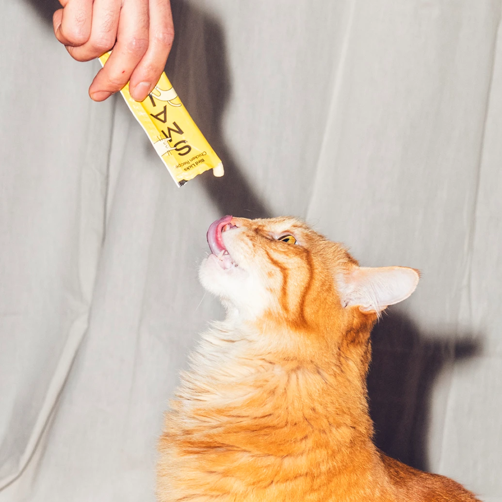 A ginger cat licking a treat from a tube
