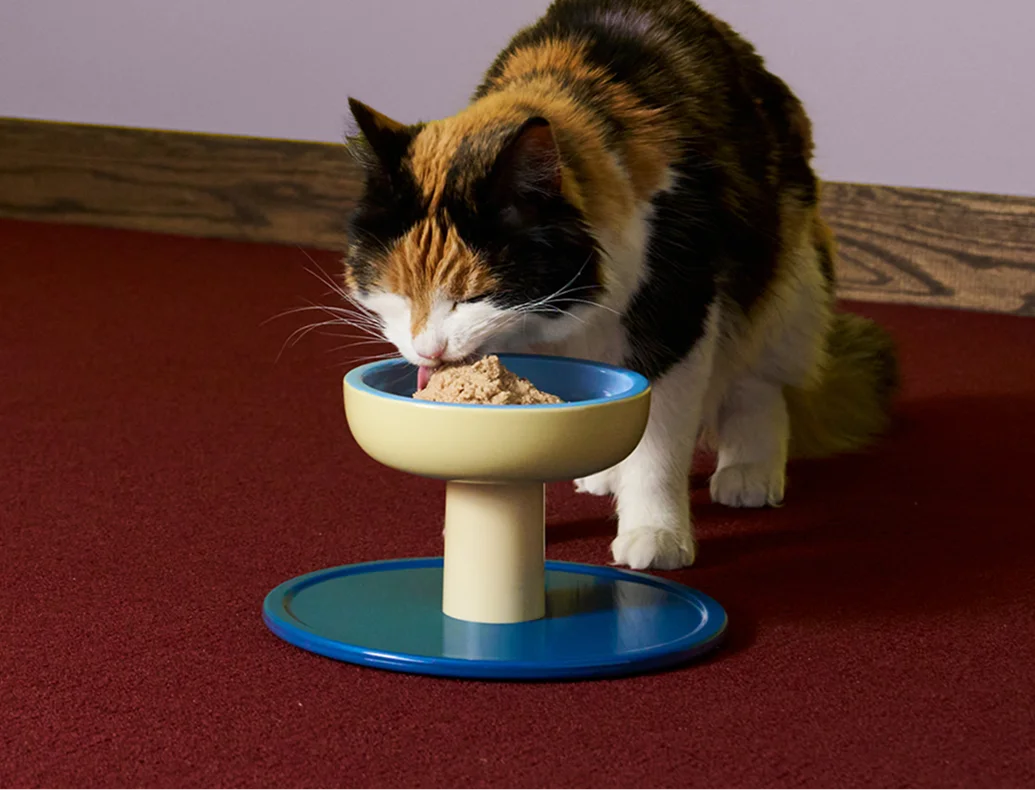 A calico cat eating from a raised ceramic bowl
