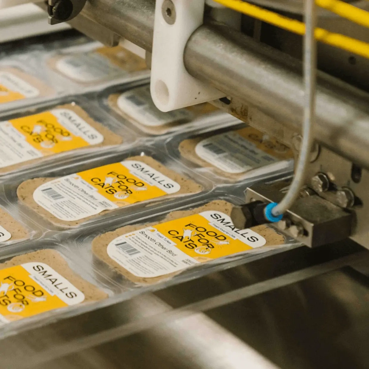 Rows of Smalls trays moving along a sealing line